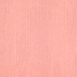 101118 Fairy Floss
