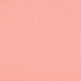 101118 Fairy Floss