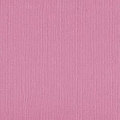 101122 Pink Gallah