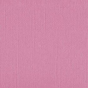 101122 Pink Gallah