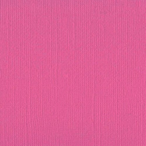 101130 Brilliant Rose