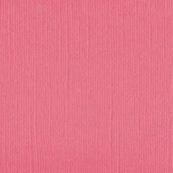 101140 Pink Salmon