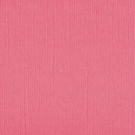 101140 Pink Salmon