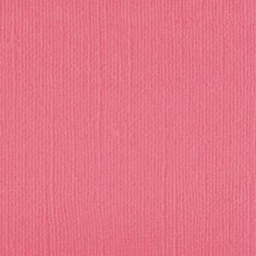 101140 Pink Salmon