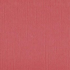 101145 Coral