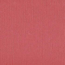 101145 Coral
