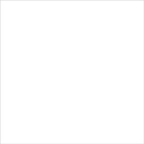 25055 DD White 250gsm