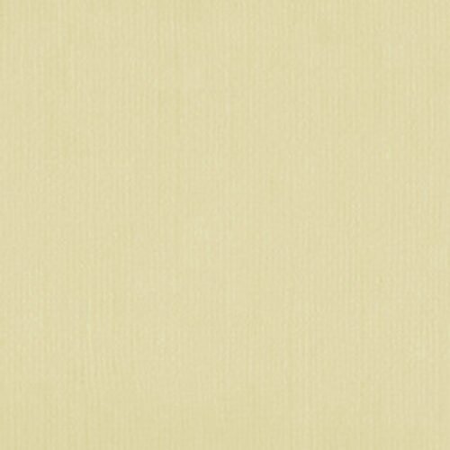 2010112 Bone White