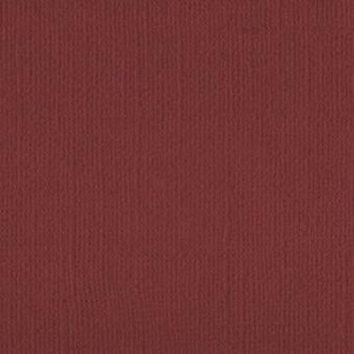 202260 Shiraz