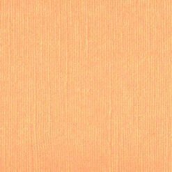 203325 Light Salmon