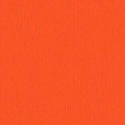203335 Carrot