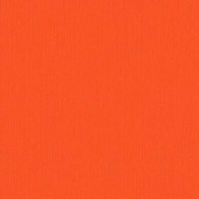 203335 Carrot