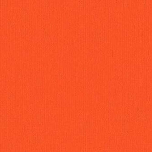 203335 Carrot