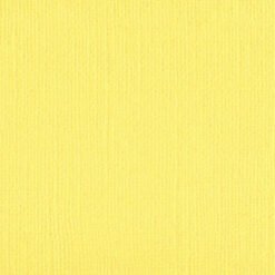 204405 Bitter Lemon