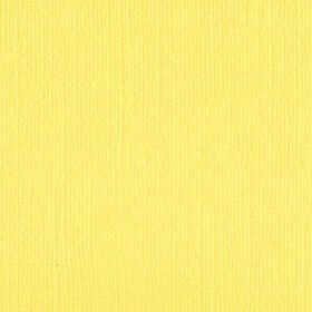 204405 Bitter Lemon
