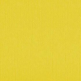 204425 Wattle