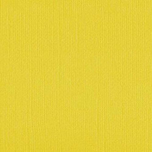 204425 Wattle