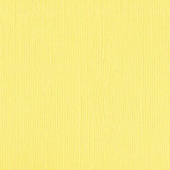 204428 Canary