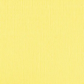 204428 Canary
