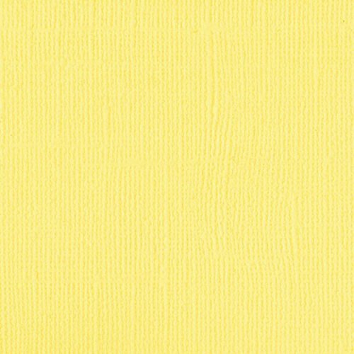 204428 Canary