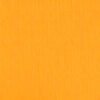 204433 Daffodil