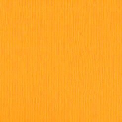204433 Daffodil