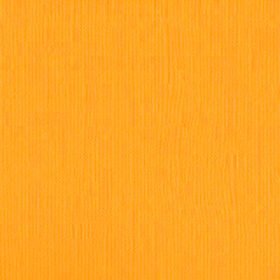 204433 Daffodil