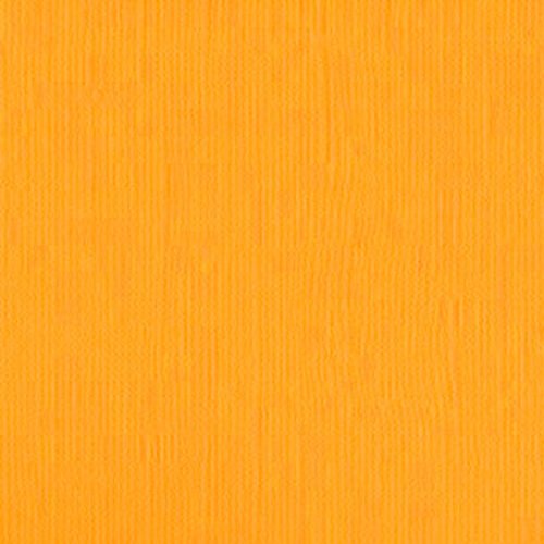 204433 Daffodil