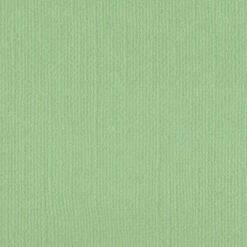 205515 Spring Bud