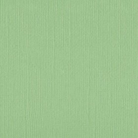 205515 Spring Bud