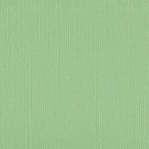 205515 Spring Bud