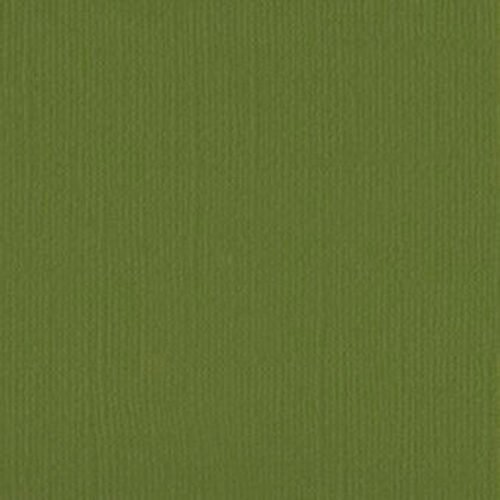 205524 Weeping Willow