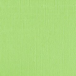 205531 Green Melon