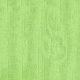205531 Green Melon