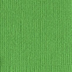 205546 Veggie Patch