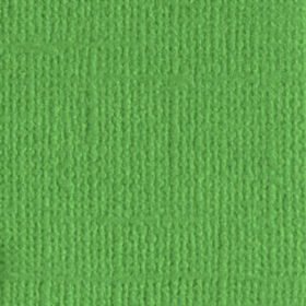 205546 Veggie Patch