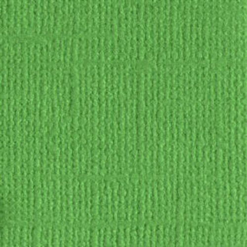 205546 Veggie Patch