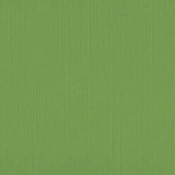 205558 Asparagus