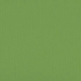 205558 Asparagus