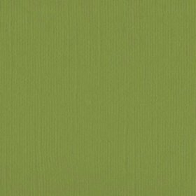 205560 Wasabi