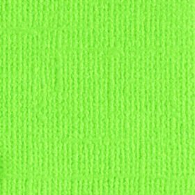 205563 Lime