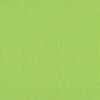 205567 Apple