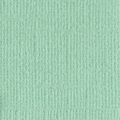 205580 Mint Tulip