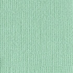 205580 Mint Tulip