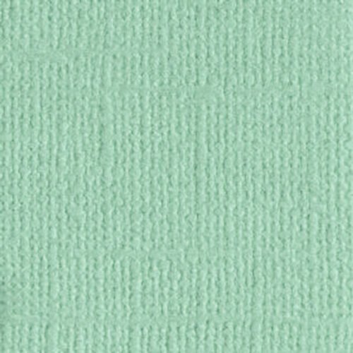 205580 Mint Tulip