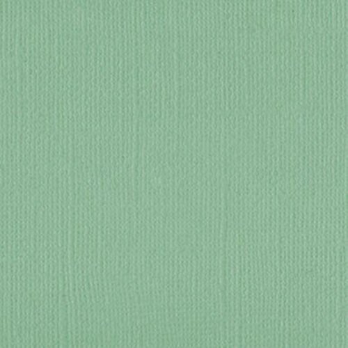 205585 Gum Leaf