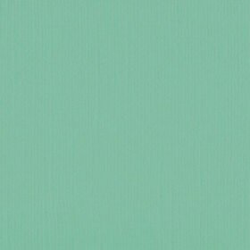 205592 Magic Mint