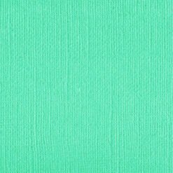 205597 Spearmint