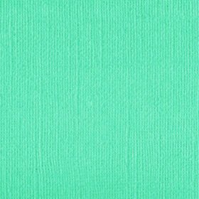 205597 Spearmint