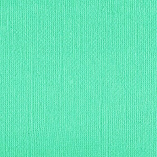 205597 Spearmint